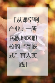 从课堂到产业：一所民族地区职校的“互嵌式”育人实践