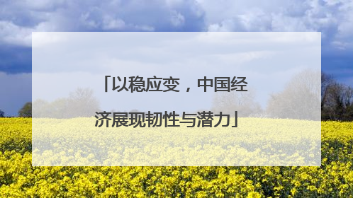 以稳应变，中国经济展现韧性与潜力