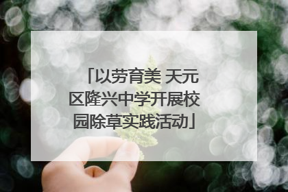 以劳育美 天元区隆兴中学开展校园除草实践活动