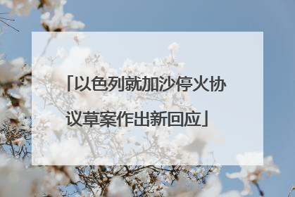 以色列就加沙停火协议草案作出新回应