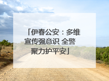 伊春公安：多维宣传强意识 全警聚力护平安