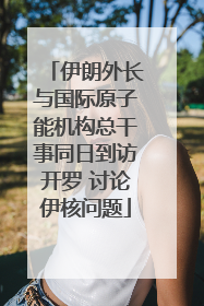 伊朗外长与国际原子能机构总干事同日到访开罗 讨论伊核问题