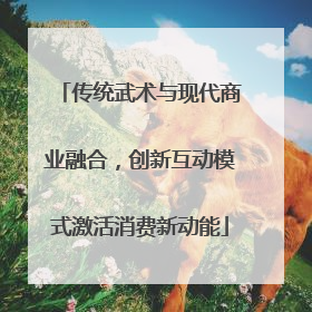 传统武术与现代商业融合，创新互动模式激活消费新动能