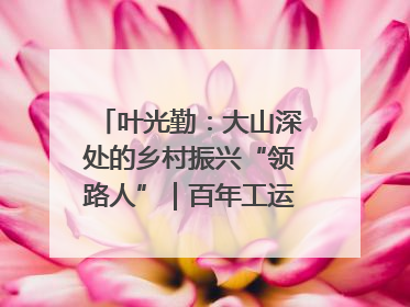 叶光勤：大山深处的乡村振兴“领路人”｜百年工运·劳模说