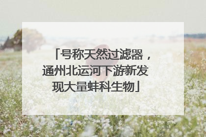 号称天然过滤器，通州北运河下游新发现大量蚌科生物
