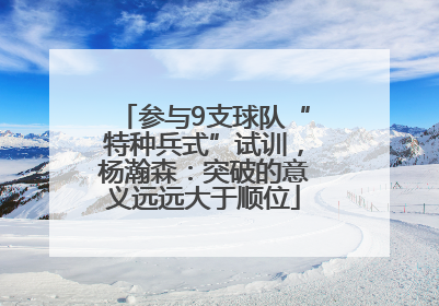参与9支球队“特种兵式”试训，杨瀚森：突破的意义远远大于顺位