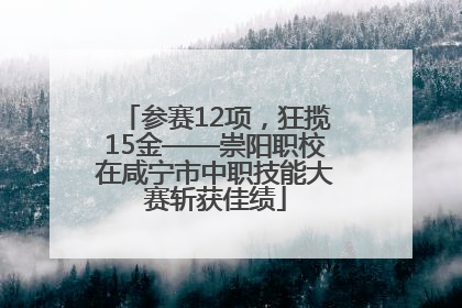 参赛12项，狂揽15金——崇阳职校在咸宁市中职技能大赛斩获佳绩