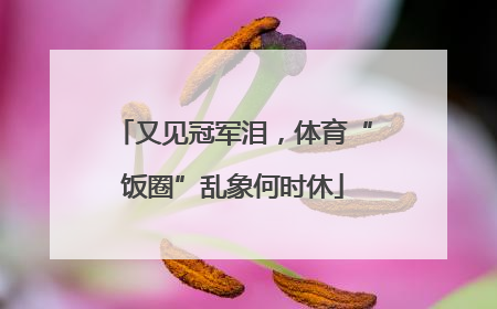 又见冠军泪，体育“饭圈”乱象何时休