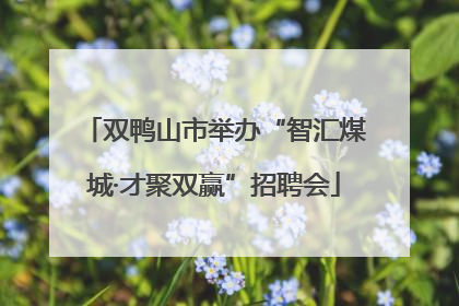 双鸭山市举办“智汇煤城·才聚双赢”招聘会