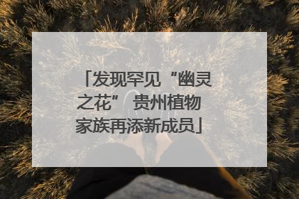 发现罕见“幽灵之花” 贵州植物家族再添新成员