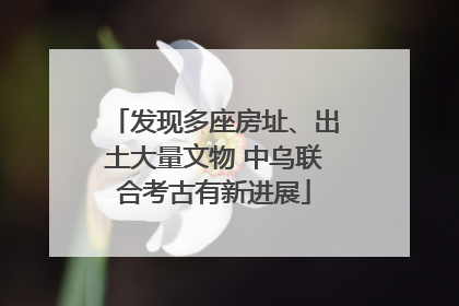发现多座房址、出土大量文物 中乌联合考古有新进展