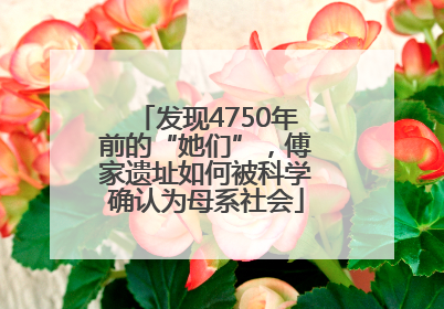 发现4750年前的“她们”，傅家遗址如何被科学确认为母系社会
