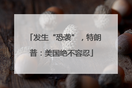发生“恐袭”，特朗普：美国绝不容忍