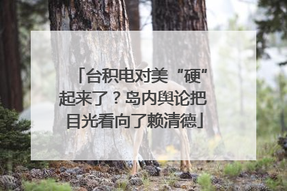 台积电对美“硬”起来了？岛内舆论把目光看向了赖清德