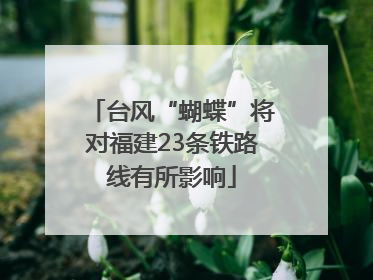 台风“蝴蝶”将对福建23条铁路线有所影响