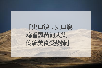 史口镇：史口烧鸡香飘黄河大集 传统美食受热捧