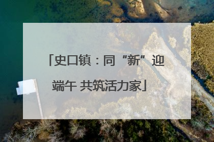 史口镇：同“新”迎端午 共筑活力家