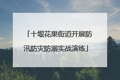 十堰花果街道开展防汛防灾防溺实战演练