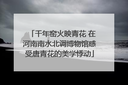 千年窑火映青花 在河南南水北调博物馆感受唐青花的美学悸动