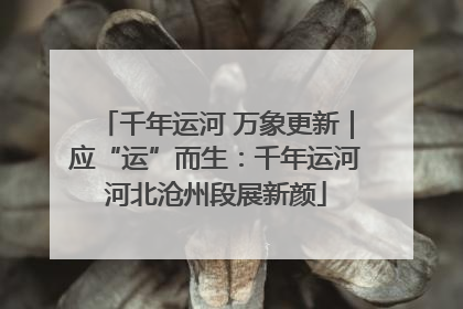 千年运河 万象更新｜应“运”而生：千年运河河北沧州段展新颜