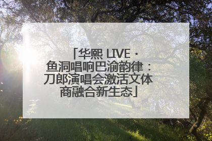华熙 LIVE・鱼洞唱响巴渝韵律：刀郎演唱会激活文体商融合新生态