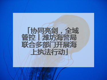 协同亮剑，全域管控丨潍坊海警局联合多部门开展海上执法行动