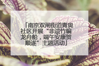 南京双闸街道青奥社区开展“非遗竹编龙舟船，端午安康贺顺遂”主题活动