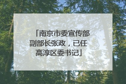 南京市委宣传部副部长张政，已任高淳区委书记