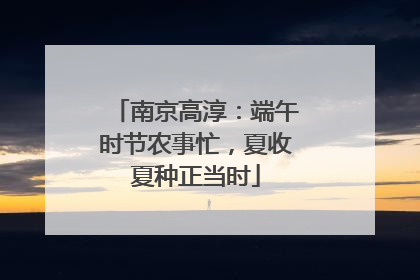 南京高淳：端午时节农事忙，夏收夏种正当时