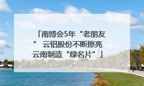 南博会5年“老朋友” 云铝股份不断擦亮云南制造“绿名片”