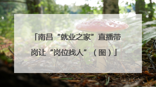 南昌“就业之家”直播带岗让“岗位找人”（图）