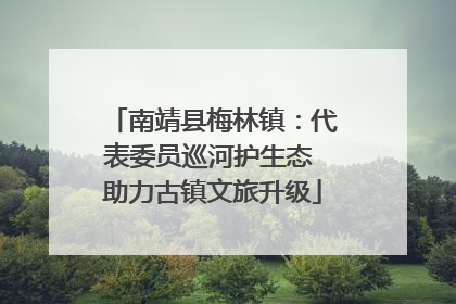 南靖县梅林镇：代表委员巡河护生态 助力古镇文旅升级
