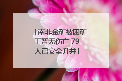南非金矿被困矿工暂无伤亡 79人已安全升井