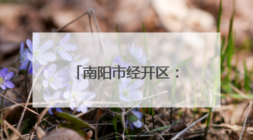 南阳市经开区：烘焙食品产销旺 带动就业促发展