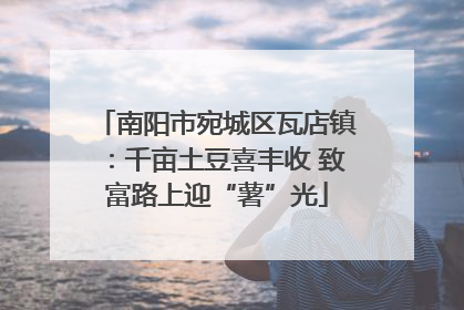 南阳市宛城区瓦店镇：千亩土豆喜丰收 致富路上迎“薯”光