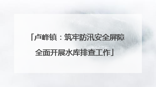 卢峰镇：筑牢防汛安全屏障 全面开展水库排查工作