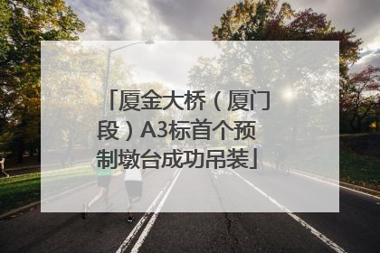 厦金大桥（厦门段）A3标首个预制墩台成功吊装