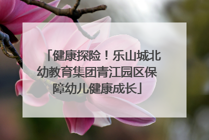 健康探险！乐山城北幼教育集团青江园区保障幼儿健康成长