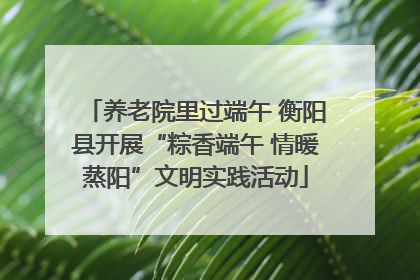 养老院里过端午 衡阳县开展“粽香端午 情暖蒸阳”文明实践活动