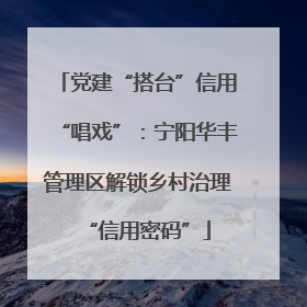 党建“搭台”信用“唱戏”：宁阳华丰管理区解锁乡村治理“信用密码”