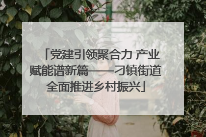 党建引领聚合力 产业赋能谱新篇——刁镇街道全面推进乡村振兴