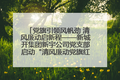 党旗引领风帆劲 清风廉动启新程——新城开集团新宇公司党支部启动“清风廉动党旗红”系列活动