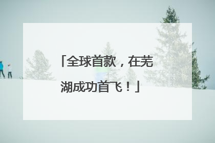全球首款，在芜湖成功首飞！