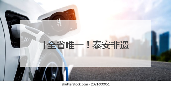 全省唯一！泰安非遗九品贡酵素煎饼亮相第九届中国成都国际非物质文化遗产节