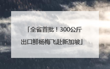 全省首批！300公斤出口鲜杨梅飞赴新加坡