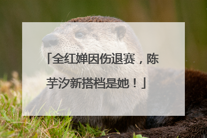 全红婵因伤退赛，陈芋汐新搭档是她！