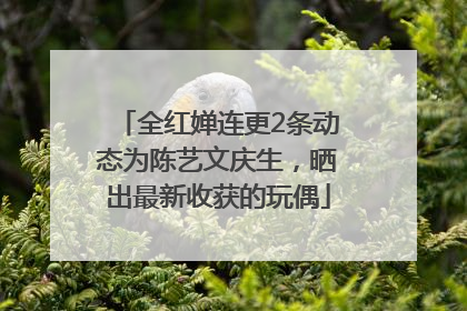 全红婵连更2条动态为陈艺文庆生，晒出最新收获的玩偶