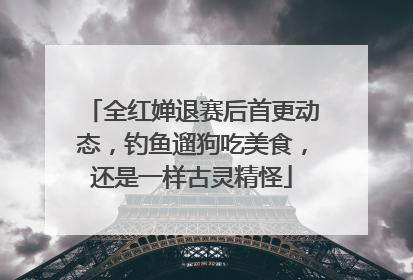 全红婵退赛后首更动态，钓鱼遛狗吃美食，还是一样古灵精怪