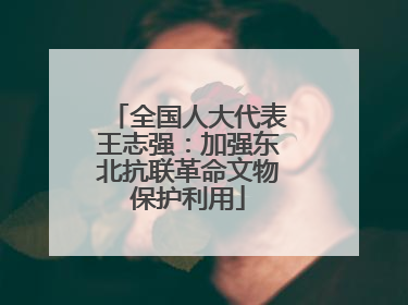 全国人大代表王志强：加强东北抗联革命文物保护利用