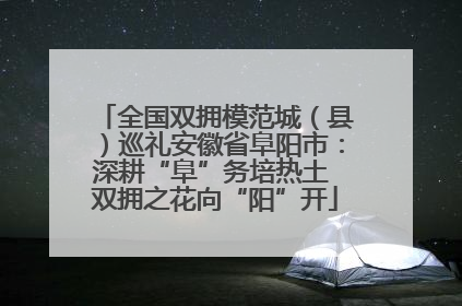 全国双拥模范城（县）巡礼安徽省阜阳市：深耕“阜”务培热土 双拥之花向“阳”开